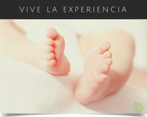 LIV Fertility Center
