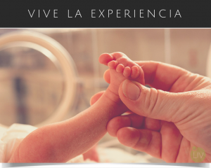 LIV Fertility Center