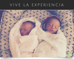 OlsonTwins
